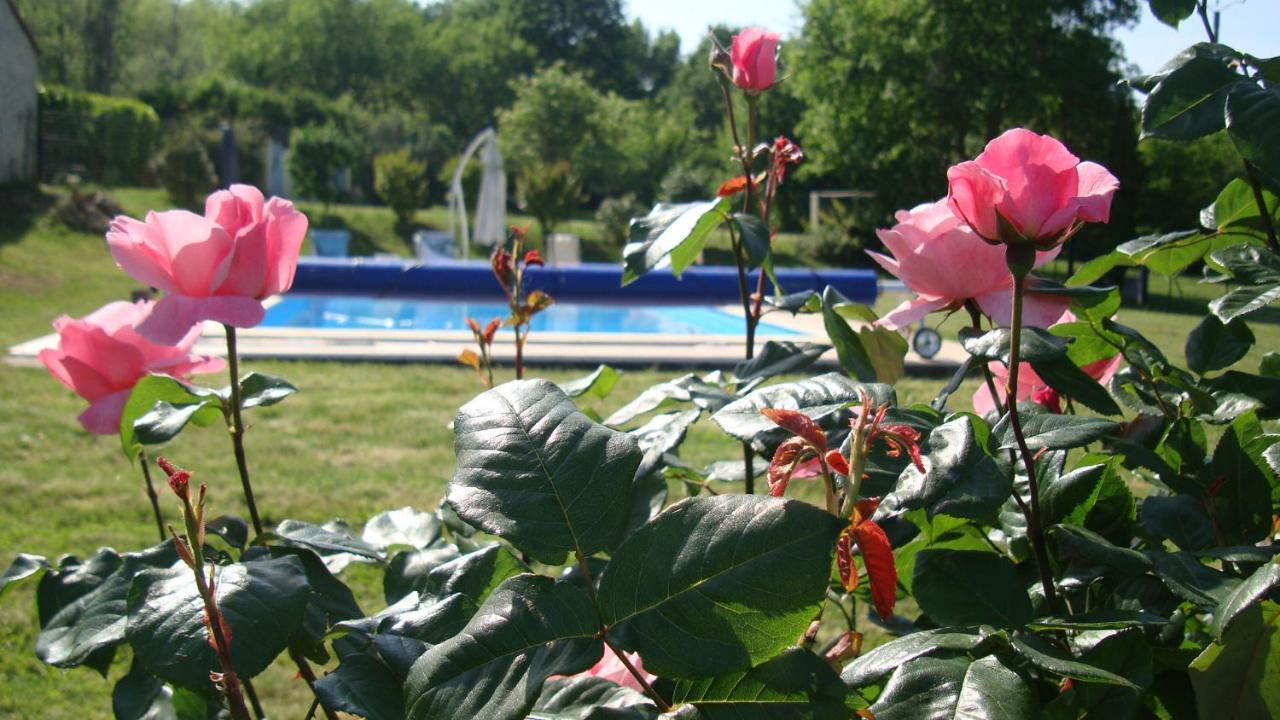 Bois De Cadene Bed & Breakfast Saint-Pierre-de-Buzet Exterior photo